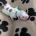American Bulldog