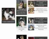 Biewer Terrier