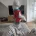 Bichon Frise