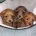 Cavapoo