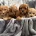 Cavapoo
