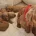 Cavapoo