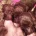 Toy Poodle