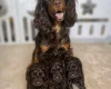 Cockapoo