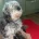 Cockapoo