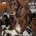 Cocker Spaniel (Show)