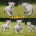 English Bulldog