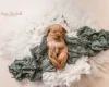 Goldendoodle