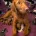 Labradoodle