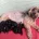 Havanese