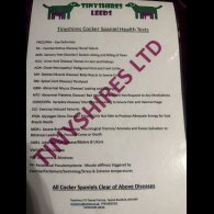 Cocker Spaniel (Working)