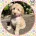 Labradoodle
