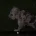Alapaha Blue Blood Bulldog