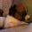 Plummer Terrier