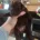 German Shorthaired Pointer