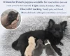 Pomchi