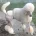 Poodle