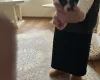 Jack Russell