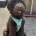 Labradoodle