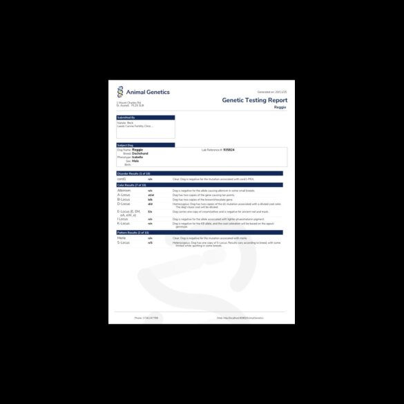 Dachshund (Miniature Smooth Haired)