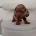 Dachshund (Miniature Smooth Haired)