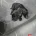 Staffordshire Bull Terrier
