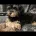 Maltipoo
