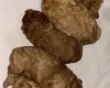 Cavapoo