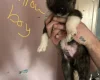 Akita