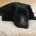 Sprocker Spaniel