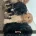 Cavapoo