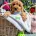 Cavapoo