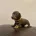 Dachshund (Miniature Smooth Haired)
