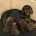 Dachshund (Miniature Smooth Haired)