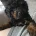 Cockapoo
