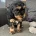 Cockapoo
