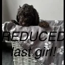 Cockapoo