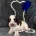 Cocker Spaniel (Show)