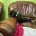 Dachshund (Smooth Haired)