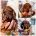 Dachshund (Smooth Haired)