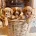 Cavapoo