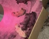 Cockapoo