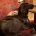 Flat Coated Retriever