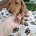 Dachshund (Miniature Smooth Haired)