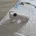 Jack Russell
