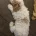 Labradoodle