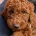 Labradoodle