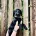 Labradoodle