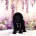 Miniature Poodle