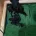 Patterdale Terrier
